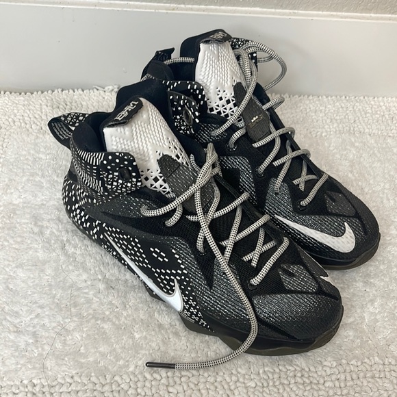 Nike. Lebron James. Black and White - Picture 1 of 4